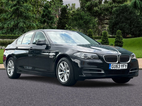 BMW 5 Series  2.0 520d SE Auto Euro 6 (s/s) 4dr