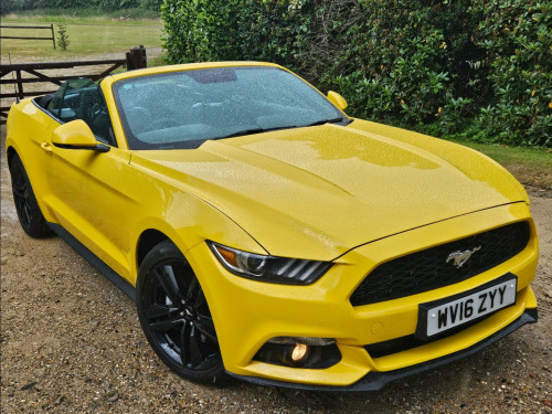Ford Mustang  2.3T EcoBoost Convertible 2dr Petrol Manual Euro 6 (317 ps)