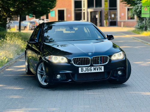 BMW 5 Series  2.0 520d M Sport Auto Euro 6 (s/s) 4dr