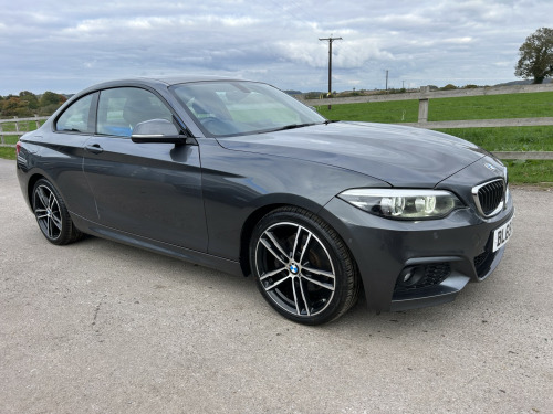 BMW 2 Series  2.0 220d M Sport Coupe