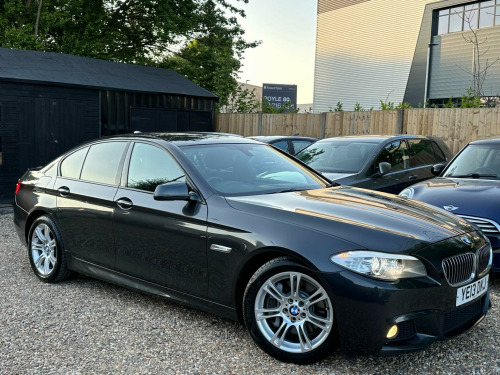 BMW 5 Series  3.0 530d M Sport Auto Euro 5 (s/s) 4dr