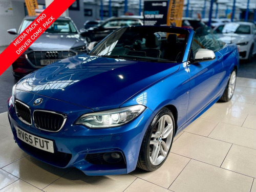 BMW 2 Series  2.0 228i M Sport Convertible 2dr Petrol Auto Euro 6 (s/s) (245 ps)