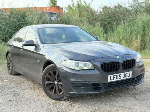 BMW 5 Series  2.0 520d SE Auto Euro 6 (s/s) 4dr