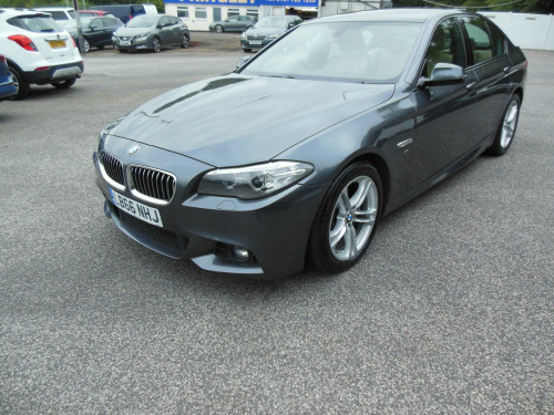 BMW 5 Series  2.0 520d M Sport Auto Euro 6 (s/s) 4dr