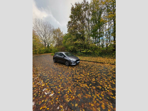 Ford Fiesta  1.0T EcoBoost ST-Line Euro 6 (s/s) 5dr 