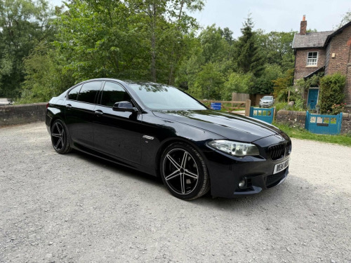 BMW 5 Series  2.0 525d M Sport Auto Euro 6 (s/s) 4dr