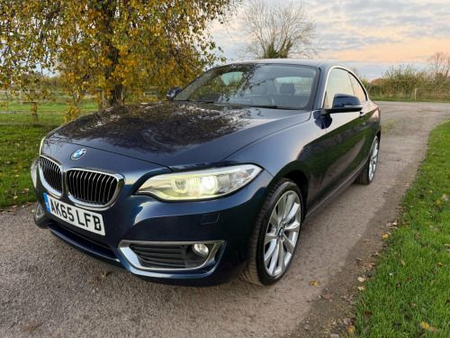 BMW 2 Series  1.5 218i Luxury Euro 6 (s/s) 2dr