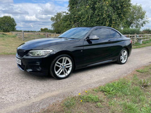 BMW 2 Series  2.0 228i M Sport Auto Euro 6 (s/s) 2dr