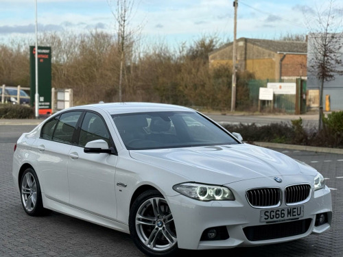 BMW 5 Series  2.0 520d M Sport Auto Euro 6 (s/s) 4dr 