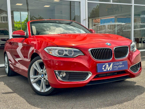 BMW 2 Series  2.0 220i Luxury Auto Euro 6 (s/s) 2dr