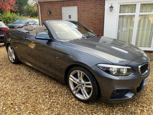 BMW 2 Series  2.0 220d M Sport Auto Euro 6 (s/s) 2dr