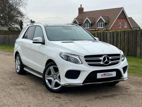 Mercedes-Benz GLE Class  2.1 GLE250d AMG Line (Premium) G-Tronic 4MATIC Euro 6 (s/s) 5dr