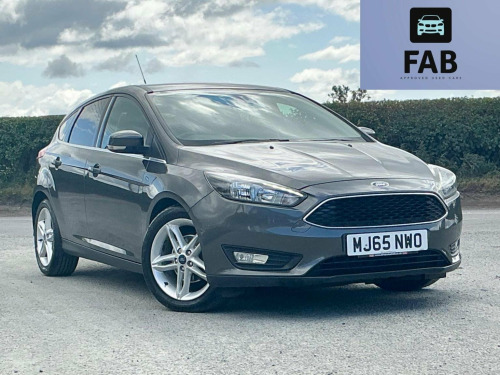 Ford Focus  1.5 TDCi Zetec Euro 6 (s/s) 5dr