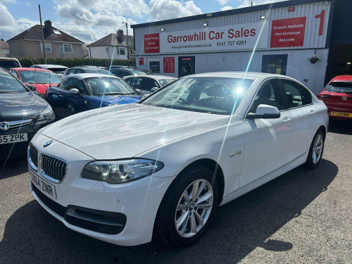 BMW 5 Series  2.0 520d SE Auto Euro 6 (s/s) 4dr