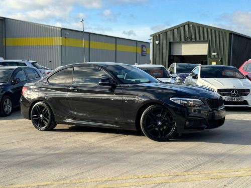 BMW 2 Series  2.0 218d M Sport Auto Euro 6 (s/s) 2dr