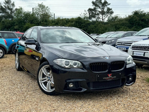 BMW 5 Series  3.0 530d M Sport Auto Euro 6 (s/s) 4dr 