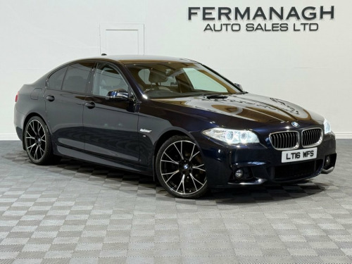 BMW 5 Series  2.0 520d M Sport Saloon 4dr Diesel Auto Euro 6 (s/