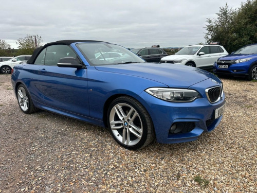 BMW 2 Series  2.0 218d M Sport Convertible 2dr Diesel Auto Euro