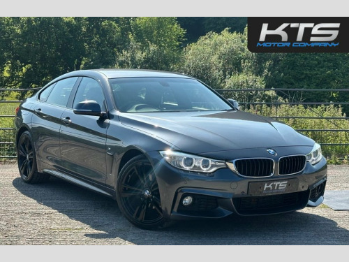 BMW 4 Series  2.0 420d M Sport Hatchback 5dr Diesel Auto Euro 6 