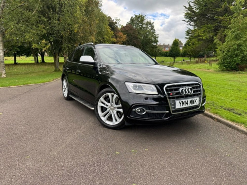 Audi SQ5  3.0 BiTDI V6 SUV 5dr Diesel Tiptronic quattro Euro