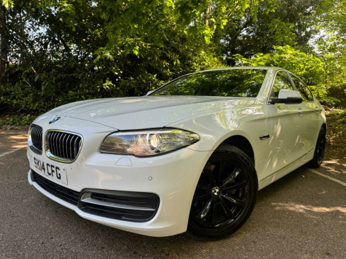BMW 5 Series  2.0 520d SE Auto Euro 6 (s/s) 4dr