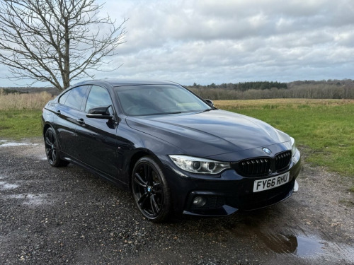 BMW 4 Series  2.0 420d M Sport Hatchback 5dr Diesel Auto xDrive  