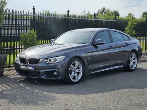 BMW 4 Series  2.0 420d M Sport Hatchback 5dr Diesel Auto Euro 6 