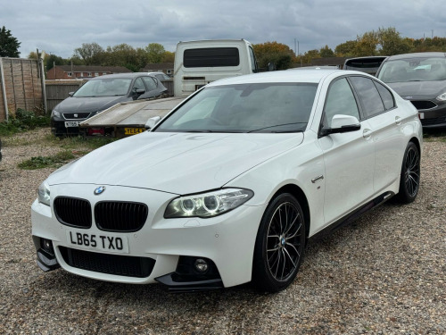 BMW 5 Series  2.0 520d M Sport Auto Euro 6 (s/s) 4dr