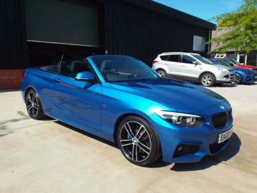 BMW 2 Series  2.0 218d M Sport Euro 6 (s/s) 2dr