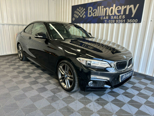 BMW 2 Series  2.0 218d M Sport Euro 6 (s/s) 2dr