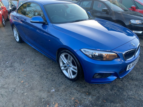 BMW 2 Series  2.0 220d M Sport Euro 6 (s/s) 2dr