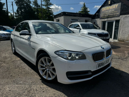 BMW 5 Series  2.0 520d SE Euro 6 (s/s) 4dr