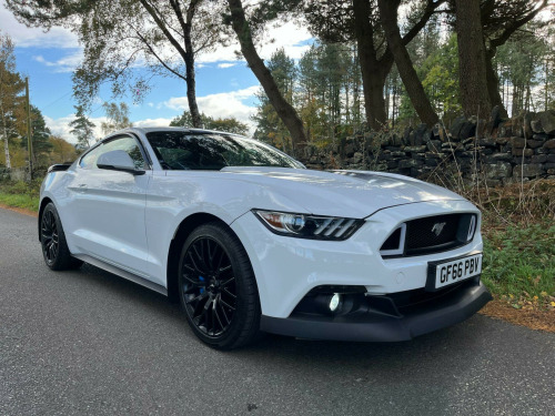 Ford Mustang  2.3T EcoBoost Fastback Euro 6 2dr