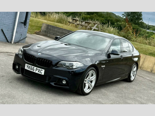 BMW 5 Series  2.0 520d M Sport Auto Euro 6 (s/s) 4dr