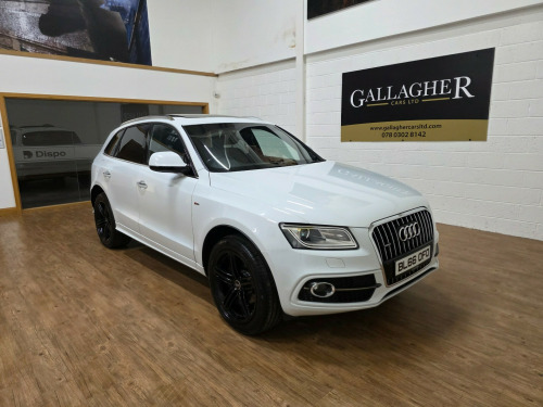 Audi Q5  2.0 TDI S line Plus SUV 5dr Diesel S Tronic quattro Euro 6 (s/s) (190 ps)
