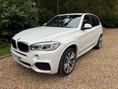 BMW X5 X5 3.0 30d M Sport Auto xDrive Euro 6 (s/s) 5dr