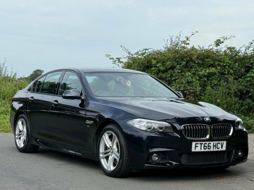 BMW 5 Series  3.0 530d M Sport Saloon 4dr Diesel Auto Euro 6 (s/