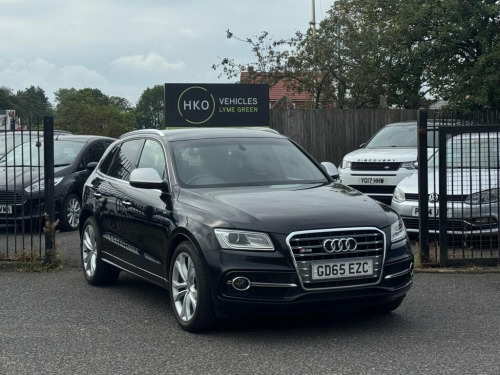 Audi SQ5  3.0 BiTDI V6 Tiptronic quattro Euro 6 (s/s) 5dr