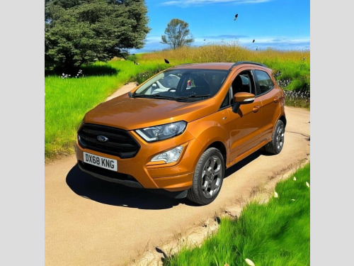 Ford EcoSport  1.0T EcoBoost ST-Line Euro 6 (s/s) 5dr