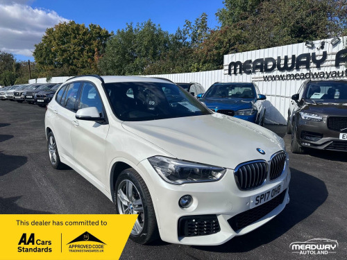 BMW X1  2.0 25d M Sport Auto xDrive Euro 6 (s/s) 5dr
