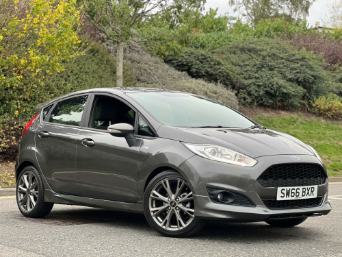 Ford Fiesta  1.0T EcoBoost ST-Line Euro 6 (s/s) 5dr