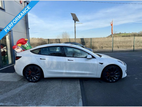 Tesla Model 3  (Dual Motor) Performance Saloon 4dr Electric Auto  