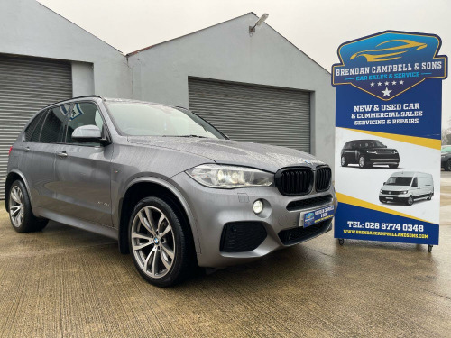 BMW X5 X5 3.0 X5 xDrive40d M Sport