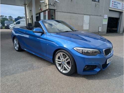 BMW 2 Series  2.0 220d M Sport Convertible