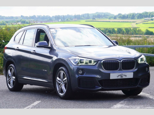 BMW X1 X1 2.0 X1 xDrive25d M Sport