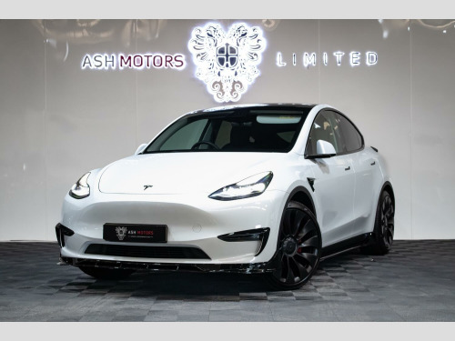 Tesla Model Y  (Dual Motor) Performance