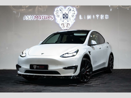 Tesla Model Y  (Dual Motor) Performance