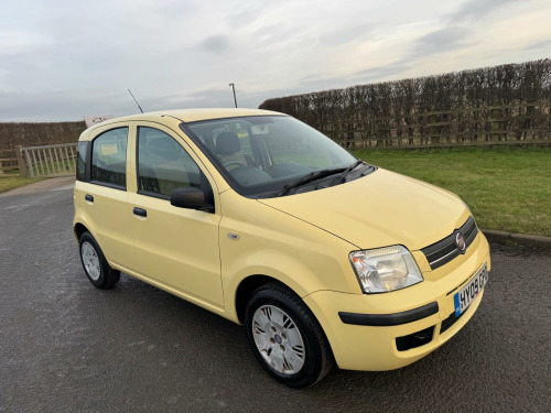 Fiat Panda  1.2 Panda 1.2 Dynamic Eco