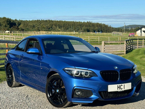 BMW 2 Series  2.0 220i M Sport Coupe