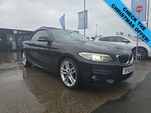 BMW 2 Series  2.0 220d M Sport Convertible 2dr Diesel Auto Euro  